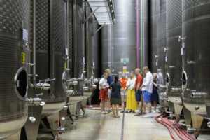 degustazione conegliano valdobbiadene